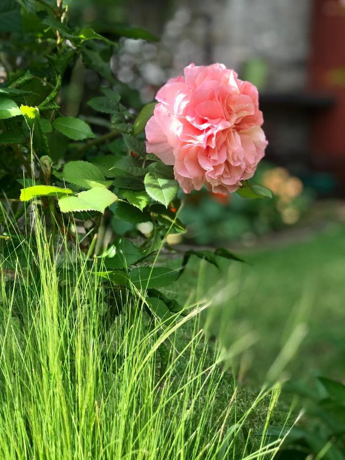 Logis Saint-Flaceau Bed & Breakfast Le Mans Exterior photo